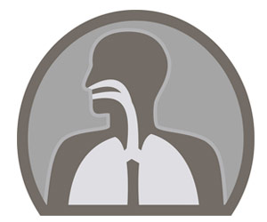 image of lung