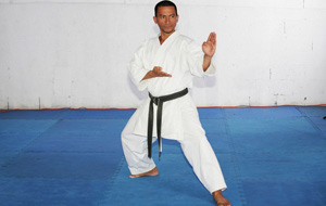 martial arts image